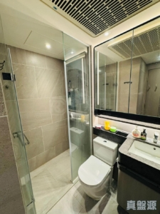 NOVO LAND 2B期 Arreso 1B座 - 28NTS – 香港北部都會區