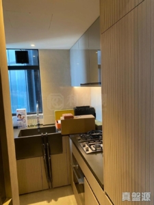 柏傲莊 2期 7座 (7B) - 28NTS – 香港北部都會區