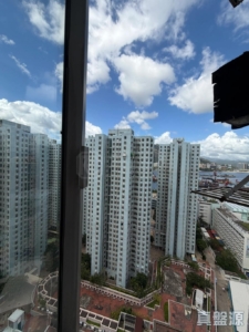 兆禧苑 安禧閣 (A座) - 28NTS – 香港北部都會區