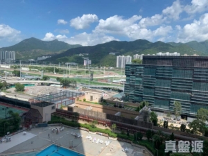銀禧花園 4座 - 28NTS – 香港北部都會區