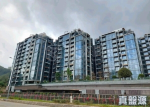 SILICON HILL 1期 翠景閣 第2座 - 28NTS – 香港北部都會區