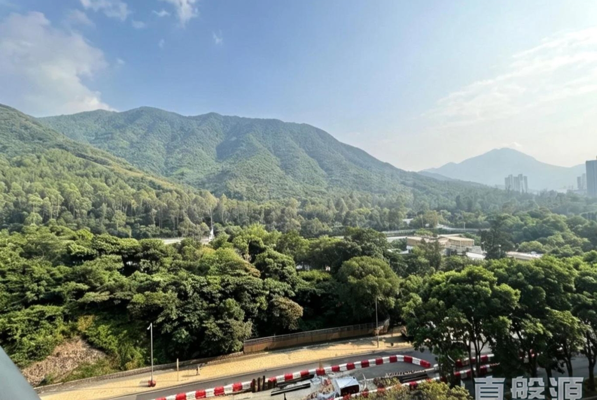 映灣園 3期 悅濤軒 11座 - 28NTS – 香港北部都會區