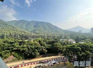 映灣園 3期 悅濤軒 11座 - 28NTS – 香港北部都會區