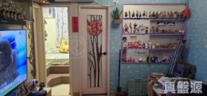 屏欣苑 C座 (屏泰閣) - 28NTS – 香港北部都會區