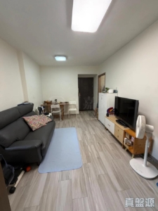 大興花園 2期 3座 - 28NTS – 香港北部都會區