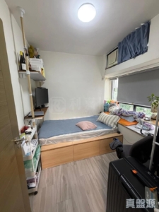 大興花園 2期 3座 - 28NTS – 香港北部都會區