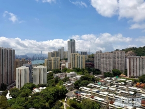 青怡花園 3座 - 28NTS – 香港北部都會區
