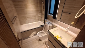 滙都 2期 滙都 II 5座 - 28NTS – 香港北部都會區