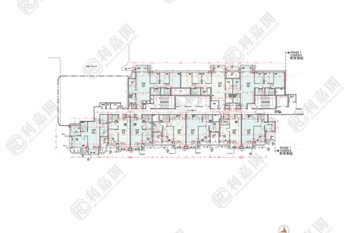 柏瓏 1A期 柏瓏 I 5座 - 28NTS – 香港北部都會區
