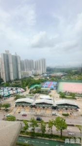 天富苑 逸富閣 (P座) - 28NTS – 香港北部都會區