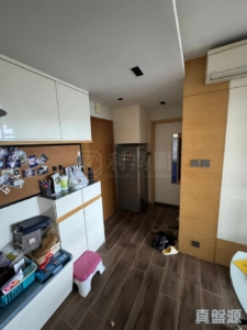 屏欣苑 B座 (屏彥閣) - 28NTS – 香港北部都會區