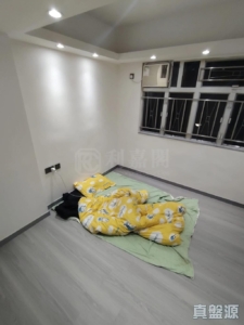 好景樓 - 28NTS – 香港北部都會區