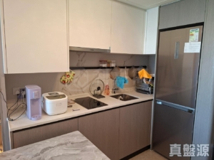 NOVO LAND 2B期 Arreso 2座 - 28NTS – 香港北部都會區