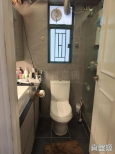 龍成花園 3座 - 28NTS – 香港北部都會區