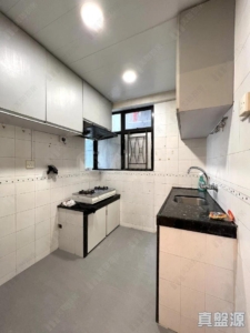 大興花園 2期 8座 - 28NTS – 香港北部都會區