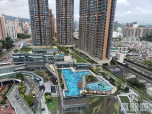 GRAND YOHO 1期 1座 - 28NTS – 香港北部都會區