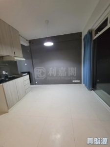 龍珠島別墅 F7座 - 28NTS – 香港北部都會區