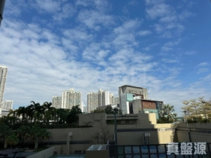 屏欣苑 A座 (屏愛閣) - 28NTS – 香港北部都會區