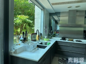 葡萄園 - 28NTS – 香港北部都會區
