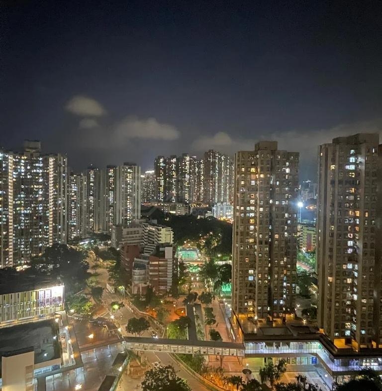 綠悠雅苑 1座 - 28NTS – 香港北部都會區