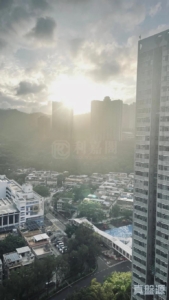 綠悠雅苑 1座 - 28NTS – 香港北部都會區