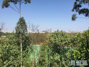 加州花園 - 28NTS – 香港北部都會區