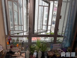 麗城花園 2期 5座 - 28NTS – 香港北部都會區