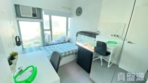 海堤灣畔 3座 - 28NTS – 香港北部都會區
