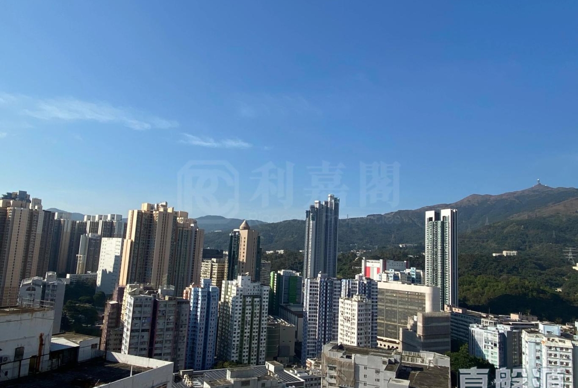 葵星中心 B座 - 28NTS – 香港北部都會區
