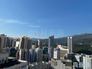 葵星中心 B座 - 28NTS – 香港北部都會區