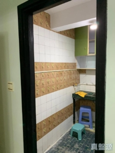 好順利大廈 2座 - 28NTS – 香港北部都會區