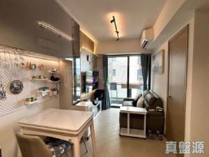 滙都 2期 滙都 II 6座 - 28NTS – 香港北部都會區