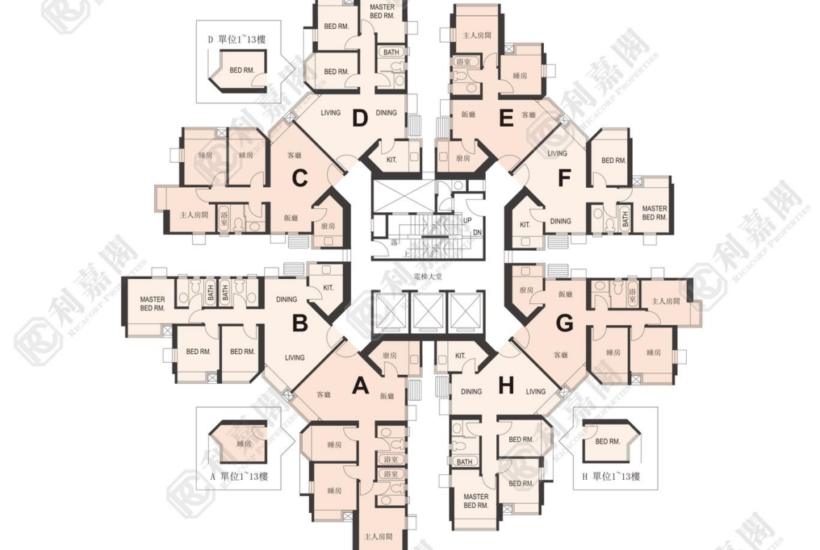 1785514331705_2000_ricacorp.png