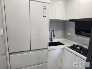 大興大廈 A座 - 28NTS – 香港北部都會區