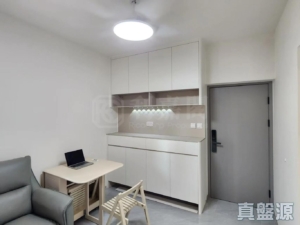 大興大廈 A座 - 28NTS – 香港北部都會區