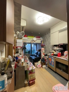 朗城滙 1座 - 28NTS – 香港北部都會區
