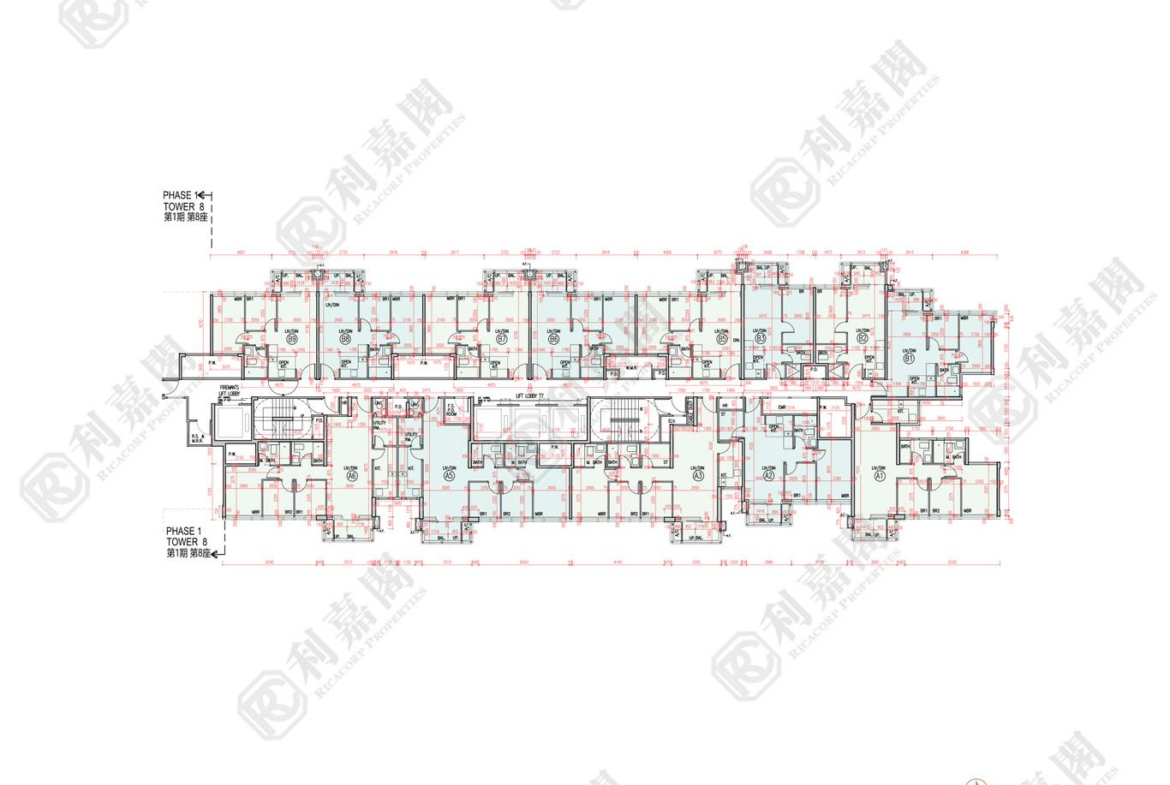 柏瓏 1B期 柏瓏 II 7座 - 28NTS – 香港北部都會區