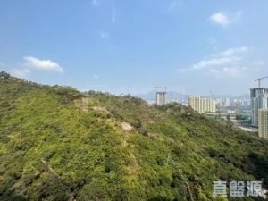 明翹匯 1座 - 28NTS – 香港北部都會區