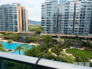 峻巒 2A期 PARK YOHO GENOVA 30A座 - 28NTS – 香港北部都會區