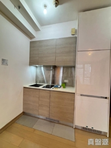 1785517833c2a27b39-ec3b-47f4-91e0-2bad60c8cb5a.jpeg 尚悅 7座 - 28NTS – 香港北部都會區