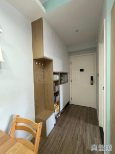 倚嶺南庭 - 28NTS – 香港北部都會區