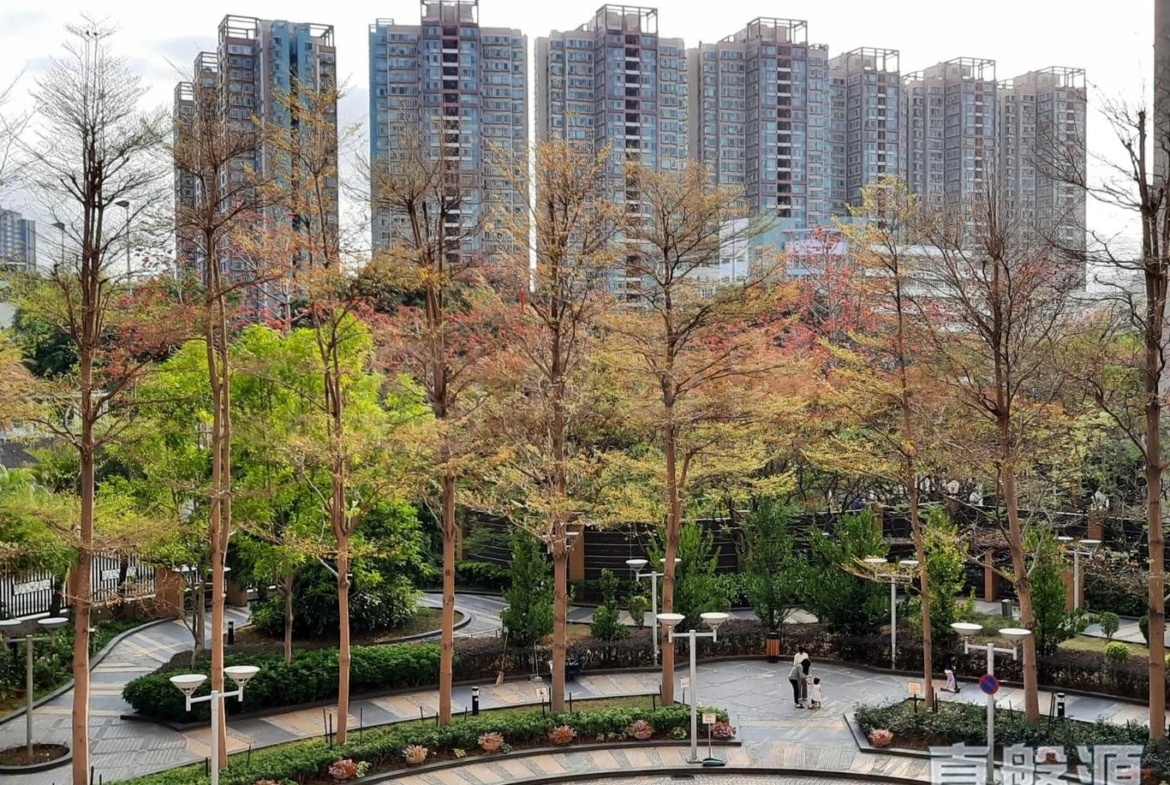 倚嶺南庭 - 28NTS – 香港北部都會區