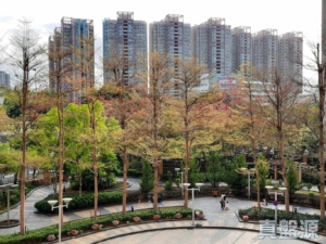 倚嶺南庭 - 28NTS – 香港北部都會區