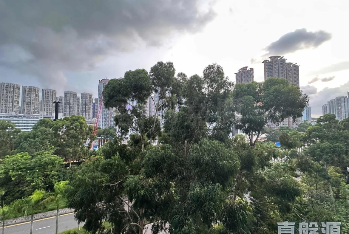 WETLAND SEASONS PARK 1期 23座 - 28NTS – 香港北部都會區