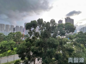 WETLAND SEASONS PARK 1期 23座 - 28NTS – 香港北部都會區