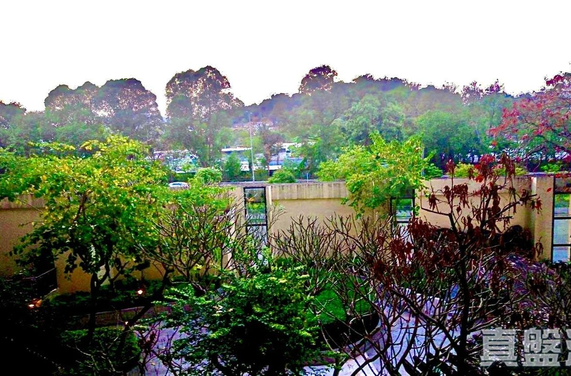 御景園 1座 - 28NTS – 香港北部都會區