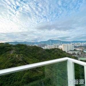 明翹匯 2座 - 28NTS – 香港北部都會區