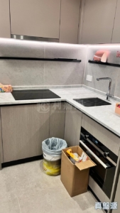 NOVO LAND 3B期 Fiskars 2A座 - 28NTS – 香港北部都會區