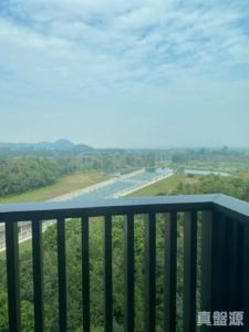 WETLAND SEASONS PARK 2期 2座 - 28NTS – 香港北部都會區