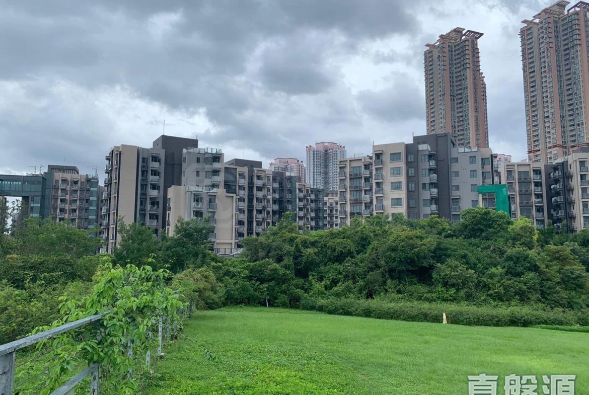 WETLAND SEASONS PARK 2期 2座 - 28NTS – 香港北部都會區